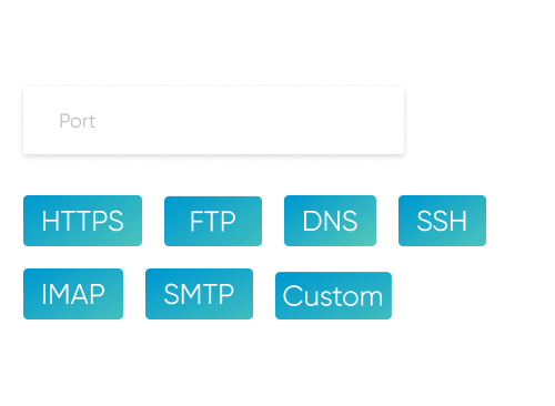 User interface for selecting ports to monitor, including options like HTTPS, FTP, DNS, SSH, and more